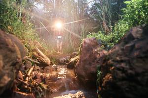 BIB: 
                            <button type="button" onclick="openModal(26419008)" class="btn btn-primary btn-sm float-right btn-popup" data-toggle="modal" data-target=".modal-high-quality">
                        <i class="fas fa-shopping-cart"></i> Add to Cart
                    </button>
                                            <button type="button" onclick="isThisMe(26419008, true)" class="btn btn-success btn-sm float-right btn-popup btn-isme hidden" data-toggle="tooltip" data-placement="bottom" title="นี่คือรูปของคุณใช่ไหม คลิกที่นี่เพื่อเอาเข้าอัลบั้ม">
                        <i class="fas fa-plus"></i> Add to album
                    </button>
                    <button type="button" onclick="isThisMe(26419008, false)" class="btn btn-warning btn-sm float-right btn-popup btn-isnotme hidden">
                        <i class="fas fa-ban"></i> Remove from album
                    </button>